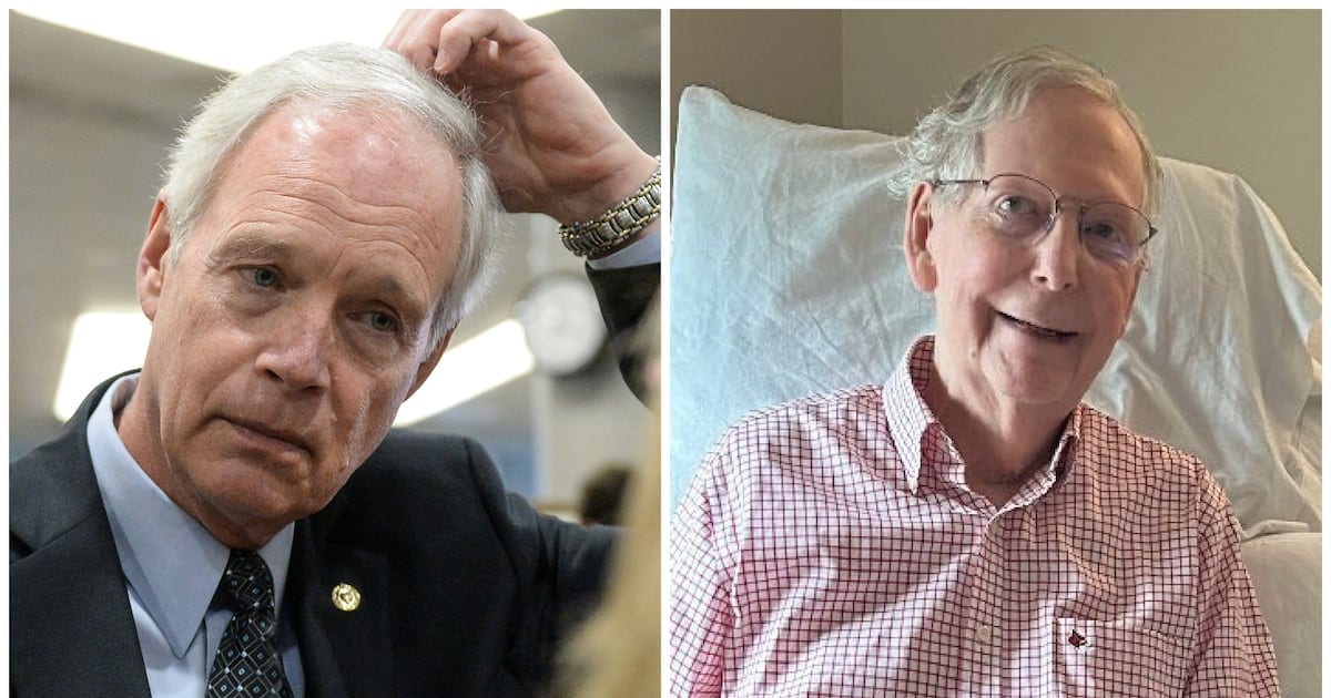 MAGA Senator Makes Bombshell Claim About McConnell Photo